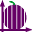 CASSIS